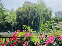 -西安市长乐公园