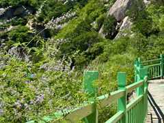 -黑龙潭风景区