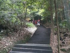 -凤栖山