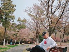-堤角公园