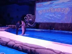 -华夏文旅海洋公园