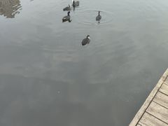 -前关湿地公园