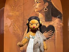 -济州岛泰迪熊博物馆