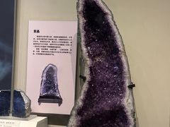 -天津自然博物馆