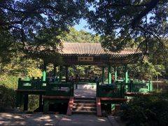 -灵谷景区
