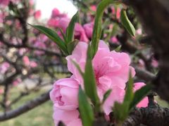 -玲珑塔公园