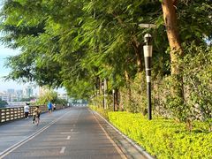 -立新湖公园