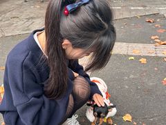 -三百碗宝应长鱼面(板仓街店)