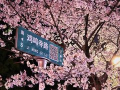 -鸡鸣寺