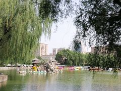 -团结湖公园
