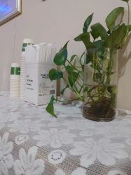 点击看大图 -Dr.林醫生产后修复·超级店(南京江宁同曦店)