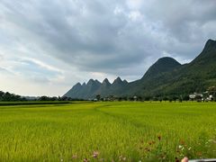-万峰林风景区