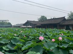 -莫催咖啡