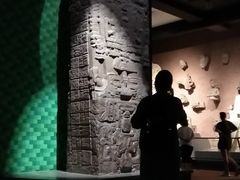 -美国自然历史博物馆