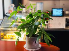 -BLAQ咖啡(骏豪店)
