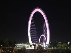 -南京眼步行桥