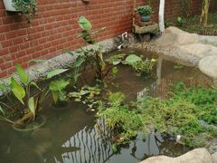 -厦门市蔡塘学校