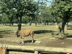 -西安秦岭野生动物园