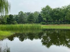 -张家湾公园