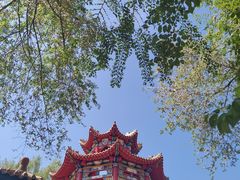 -哈尔滨极乐寺