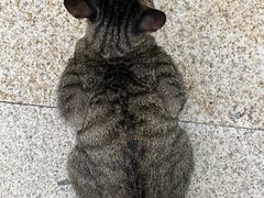 -万达广场(南宁青秀店)