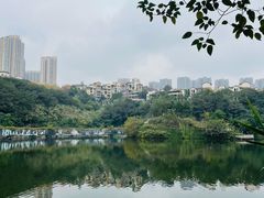 -重庆彩云湖湿地公园