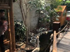 -上海大自然野生昆虫馆(东方明珠·爬宠昆虫探索中心)
