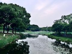 -蠡湖大桥公园