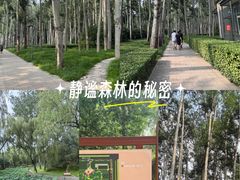 -仁和公园(顺义区)
