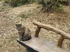 -九尺赵老四鲜鹅肠火锅