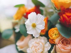 -花生FM_FLOWERS