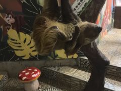 -正佳雨林生态植物园