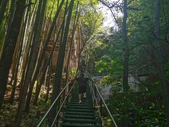 -藏龙百瀑风景区