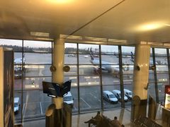 -谢列梅捷沃国际机场
