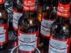 -友坐OMNI(民园广场店)