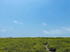 -北海金海湾红树林生态旅游区