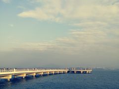 -深圳湾公园(南山区)