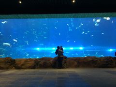 -华夏文旅海洋公园