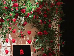 -Mammamia意大利餐厅(阳春巷店)