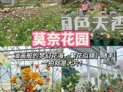 -盈香心动乐园