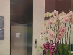 -TSK齿科德申会口腔门诊·联洋诊所