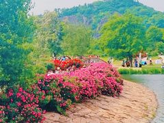 -上海辰山植物园