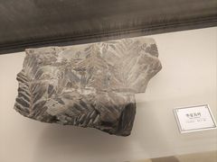 -辽宁古生物博物馆