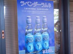 -富田农场