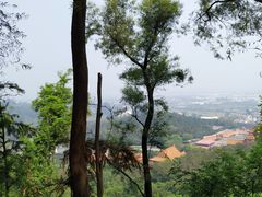 -南国桃园旅游度假区