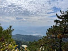 -玉苍山国家森林公园