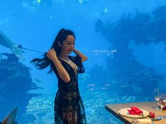 -海棠湾洲际-涛·海底餐厅·美人鱼·自助餐·海底隧道