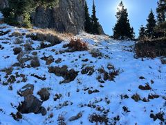 -仙人掌足疗养生馆(北京路至尊店)