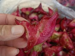 -上海佘山国家森林公园天马山园