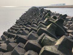 -南汇嘴观海公园